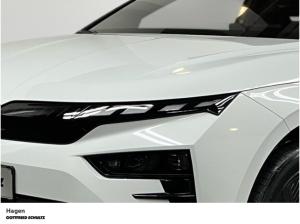 Skoda Enyaq RS | 250 kW | Allrad (Hagen)