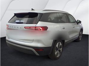 Skoda Kodiaq 2.0 TDI DSG 🔥  SELECTION🔥  4x4 AHK Navi MatrixLED