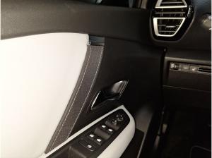 Citroën C4 1.2 145 Max *360°Kamera*Winter-Paket**