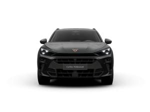 Cupra Terramar (KP1)