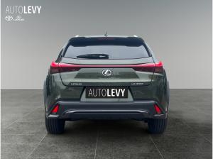 Lexus UX-300h UX 300h F Sport Design *Vorlauf *diverse Farben*