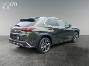 Lexus UX-300h UX 300h F Sport Design *Vorlauf *diverse Farben*