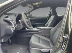 Lexus UX-300h UX 300h F Sport Design *Vorlauf *diverse Farben*