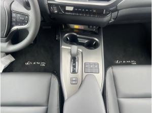 Lexus UX-300h UX 300h F Sport Design *Vorlauf *diverse Farben*