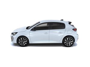 Peugeot 208 BUSINESS HYBRID 110 DSC6