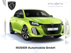 Peugeot 208 ALLURE HYBRID 110 DSC6
