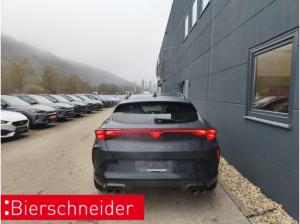 Cupra Formentor 333 VZ  🔥AKRAPOVIC + MATT🔥 SKYLINE Sennheiser MATRIX