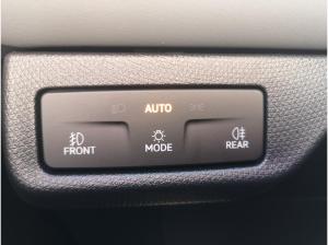 Cupra Terramar 2.0 TSI 150 kW 4Drive Navi AHK AAC ACC 360° Kamera PDC v+h