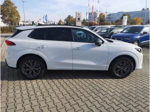 Cupra Terramar 2.0 TSI 150 kW 4Drive Navi AHK AAC ACC 360° Kamera PDC v+h