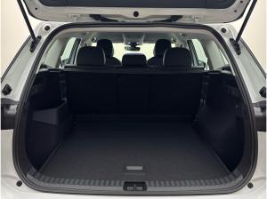Volkswagen Tayron Life 2.0 TDI SCR 4MOTION Standheizung LED