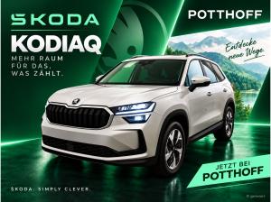 Skoda Kodiaq 2.0 TDI DSG 🔥  SELECTION🔥  4x4 AHK Navi MatrixLED