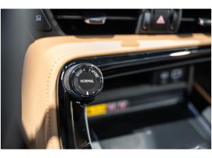 Lexus NX 450h+ Advantage E-FOUR HUD El. Panodach Leder Memory Sitze 360 Kamera