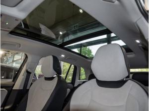Volkswagen Tiguan Elegance 1,5 l eTSI OPF 7-Gang-DSG *** Sofort Verfügbar ***