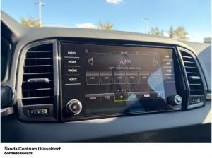Skoda Karoq Balance 1.0 TSI (Düsseldorf)