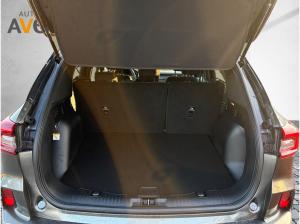 Ford Kuga 2.5 PHEV ST-Line AHK*RFK*4xSHZ*ACC*GJR*360