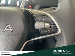 Skoda Epiq Edition Eins 55 56 kWh 19 Zoll Kamera
