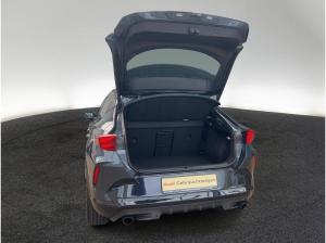 Cupra Formentor VZ 2.0 TSI DSG Matrix AHK