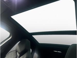 Cupra Terramar VZ 2.0 TSI DSG 4Drive AHK/HD-Matrix/Panorama/Sennheiser/20"