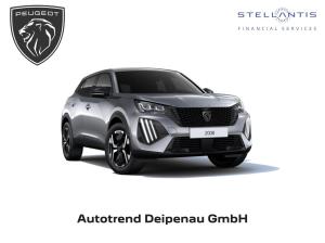 Peugeot 2008 BUSINESS HYBRID 145 DSC6