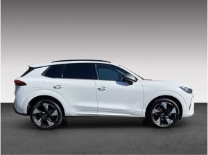 Cupra Terramar 2.0 TSI 204 PS DSG 4Drive