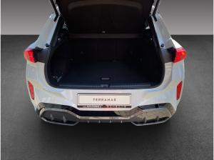 Cupra Terramar 2.0 TSI 204 PS DSG 4Drive