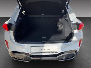 Cupra Terramar VZ 2.0 TSI 265 PS DSG 4Drive