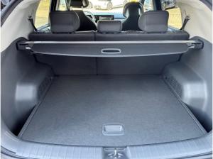 Kia EV3 Earth 58,3kWh WINTER BUSINESS UPGGRADE DriveWP