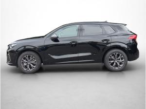 Cupra Terramar 2.0 TSI 4x4*Matrix*HUD*Sound*Navi*Kamera*Sportsitze*Privacy