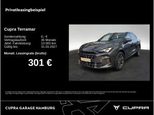 Cupra Terramar 1.5 eTSI DSG Matrix-LED Kamera Head-up