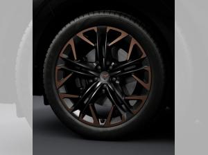 Cupra Terramar VZ 2.0 TSI 7-Gang-DSG 4Drive AHK Vorrichtung; Advanced Paket; Full Link; Navi; Fahrassi