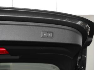 Audi RS3 SB - Competition Limited - Eroberung - Sofort