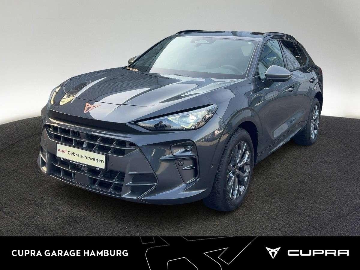Cupra Terramar 2.0 TSI 4Drive DSG Matrix-LED Head-up K