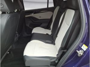 Volkswagen Tayron 1.5 eHybrid DSG ELEGANCE, 8 fach bereift, Garantie bis Jan. 2031