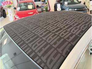 Fiat 500e Cabrio La Prima Verfügbar in 3 Farben Abholung Mannheim