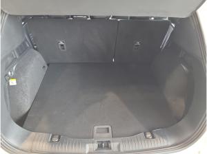 Ford Kuga ST-Line X Automatik Allrad Sportpaket Navi