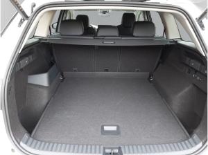 Skoda Kodiaq (PS)