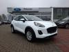 Foto - Ford Puma Cool&Connect 1.0 EcoBoost Winter-Paket PDC