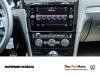 Foto - Volkswagen Golf VARIANT 1.0 TSI IQ.DRIVE NAVI SHZ PDC ACC GRA