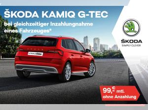 Skoda Kamiq Leasing Angebote Gunstige Raten Fur Privat Gewerbe