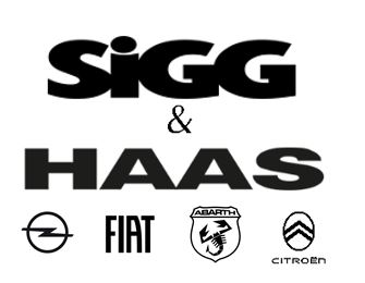 Foto - Georg Haas GmbH &amp; Co KG. Automobile