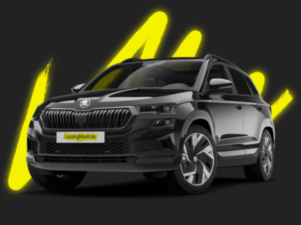 Skoda Karoq Sportline 2,0 TSI | Privat | Bestellfahrzeug