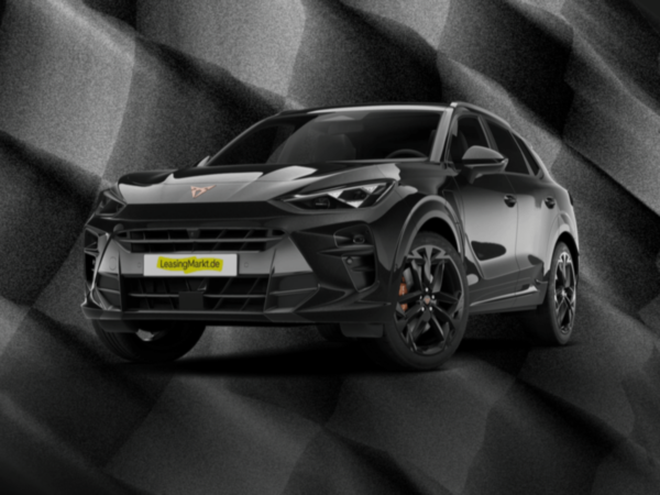 Cupra Terramar 2.0 TSI VZ 4Drive | Gewerbedeal