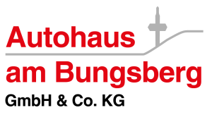 Autohaus am Bungsberg GmbH&Co.KG