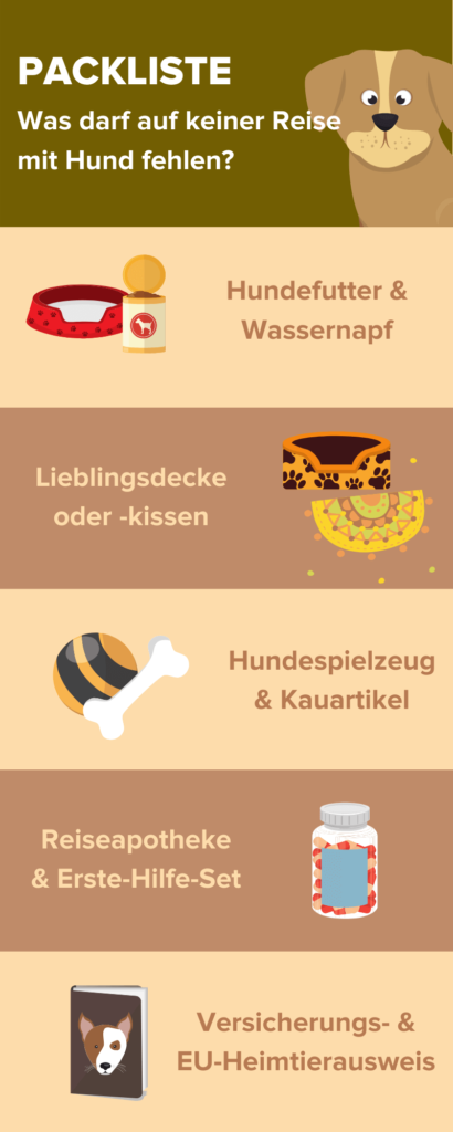 Erste Hilfe beim Hund + Infografik »