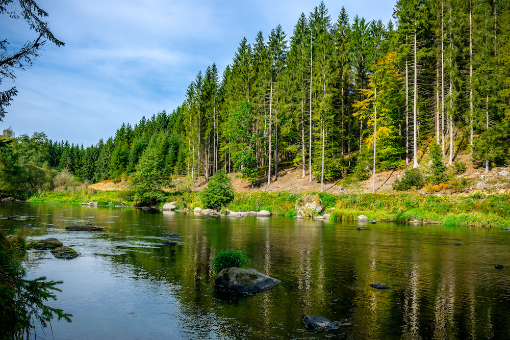 bayerischer wald see