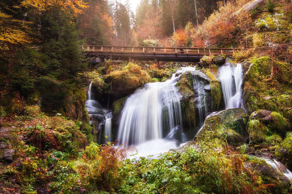 schwarzwald wasserfall