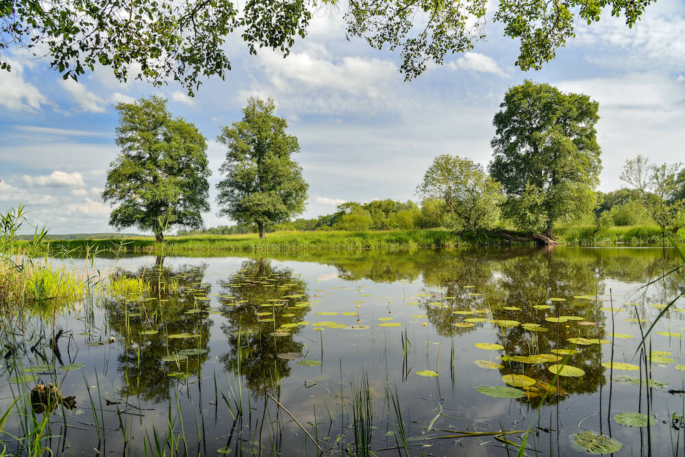 unteres odertal brandenburg