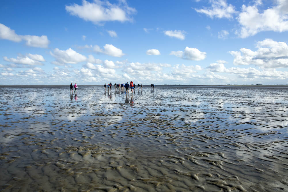 wanderung im wattenmeer