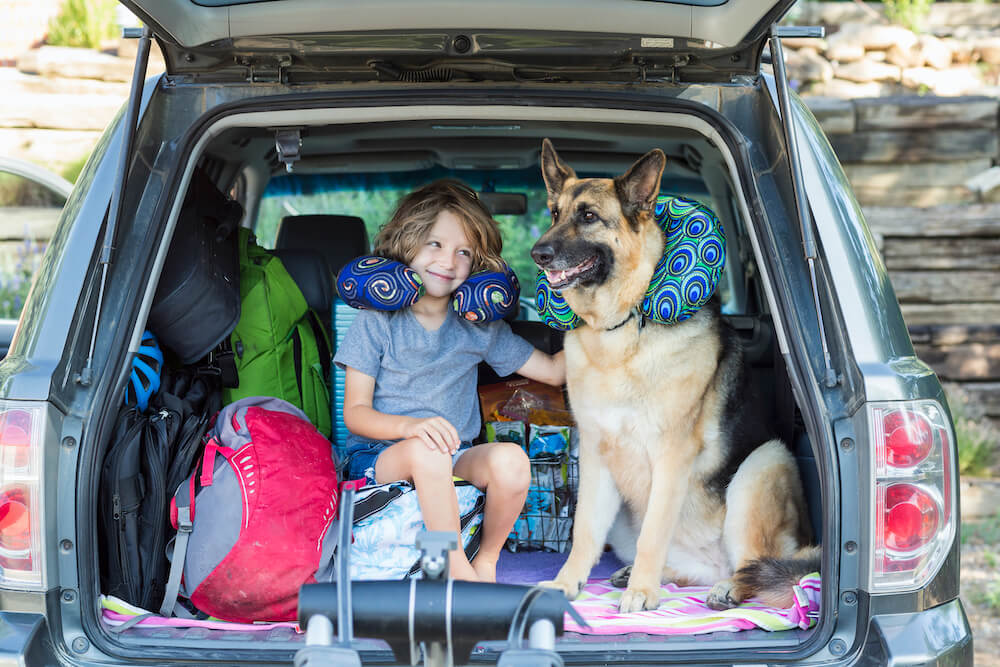 familien-suv mit kind und hund