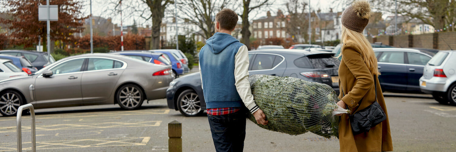 weihnachtsbaum zum auto transportieren